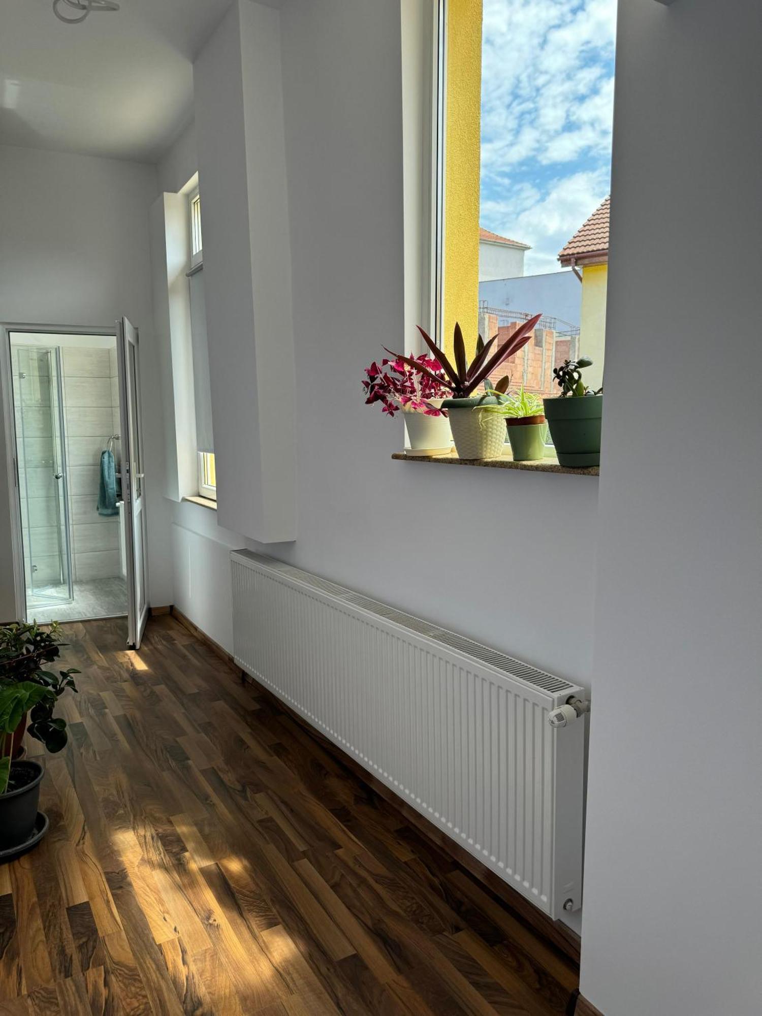 Apartament Victoria Temesvár Kültér fotó