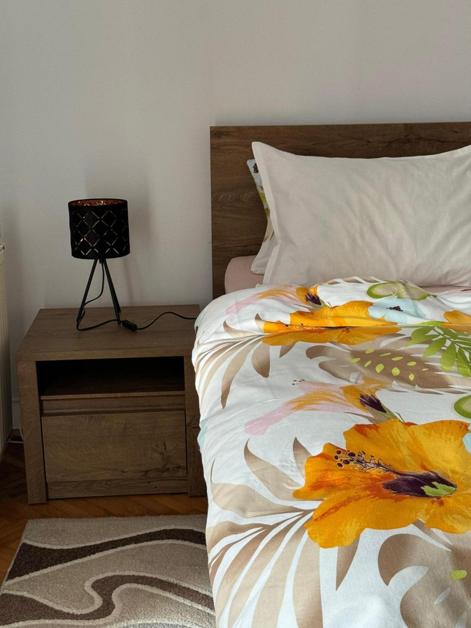 Apartament Victoria Temesvár Kültér fotó