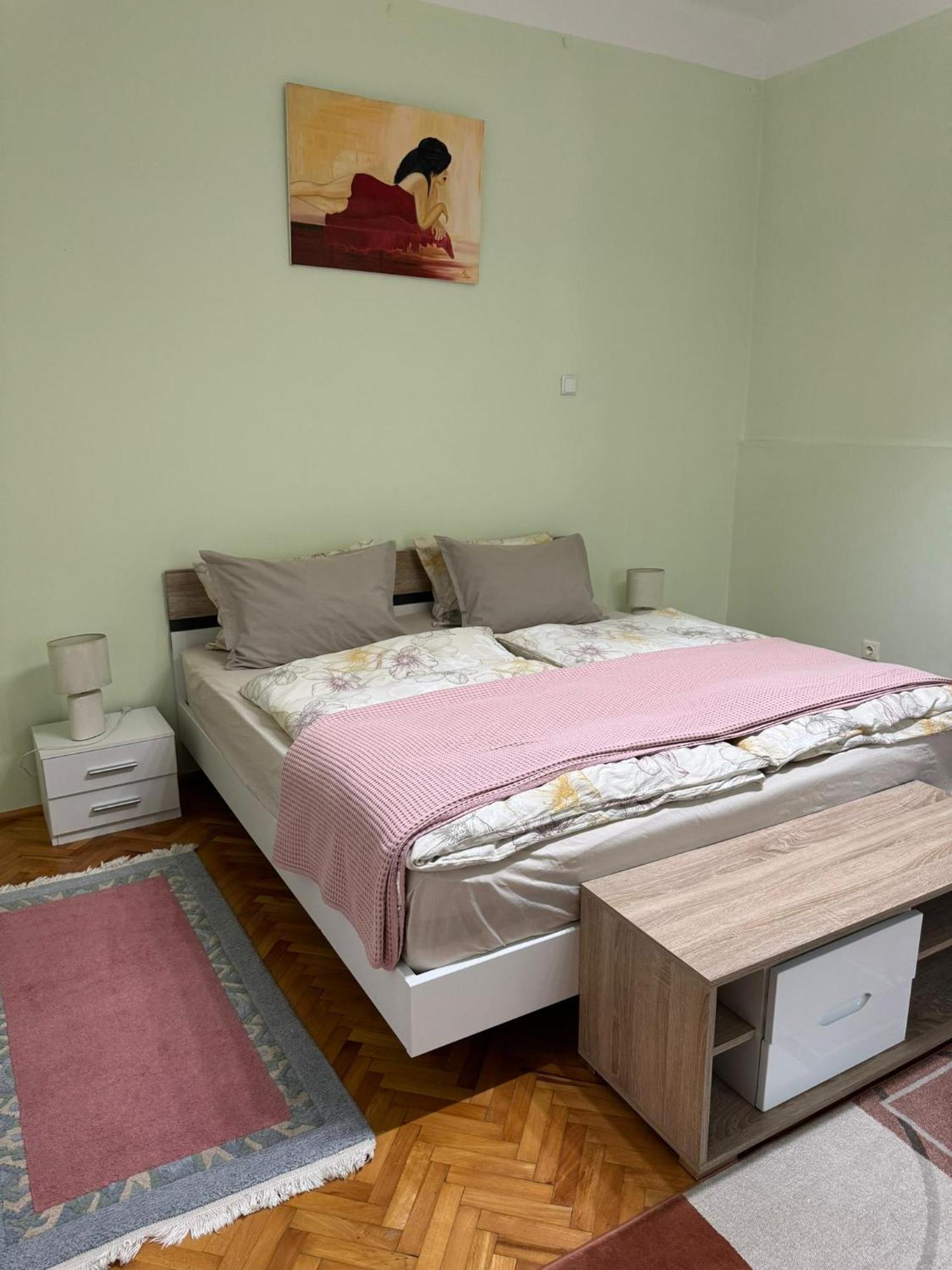 Apartament Victoria Temesvár Kültér fotó