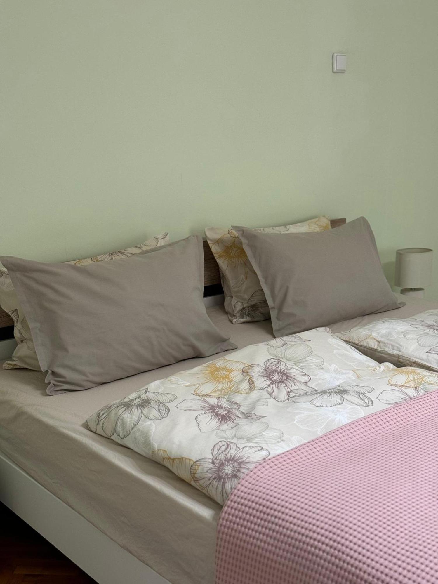 Apartament Victoria Temesvár Kültér fotó